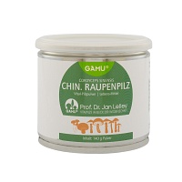 CHINESISCHER Raupenpilz Pilzpulver - 140g - Vitalpilze