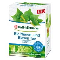 BAD HEILBRUNNER Bio Nieren- und Blasen Tee Pyr.Btl - 12X2.0g