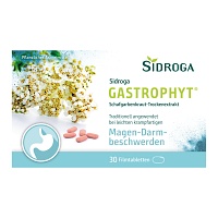 SIDROGA GastroPhyt 250 mg Filmtabletten - 30Stk