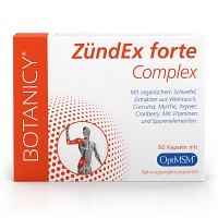 ZÜNDEX forte Complex mit OptiMSM Kapseln - 60Stk