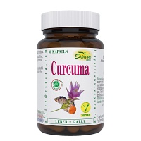 CURCUMA BIO Kapseln - 60Stk