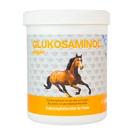 GLUKOSAMINOL equin Pulver f.Pferde - 600g - NutriLabs