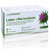 AMITAMIN Mariendistel+Leber Kapseln - 120Stk