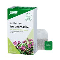 WEIDENRÖSCHEN TEE Bio Salus Filterbeutel - 15Stk