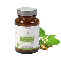 SIBIRISCHER Ginseng hochdosiert vegan Kapseln - 60Stk - Vegan