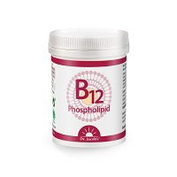 B12 PHOSPHOLIPID Dr.Jacob\'s Pulver - 80g - Abwehrkräfte