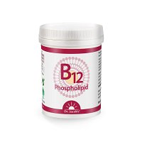 B12 PHOSPHOLIPID Dr.Jacob\'s Pulver - 80g - Abwehrkräfte