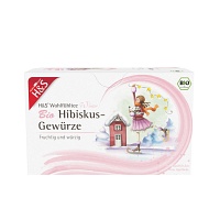 H&S Wintertee Bio Hibiskus-Gewürze Filterbeutel - 20X2.5g