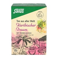 KARIBISCHER Traum Bio Salus Filterbeutel - 15Stk - Beauty-Box Juli 2023