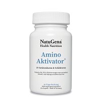 AMINOAKTIVATOR Aminosäuren+Vit.B6+B9+B12 vegan Kps - 180Stk - Sport & Fitness