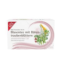 H&S Blasentee mit Bärentraubenblätter Filterbeutel - 20X2.0g