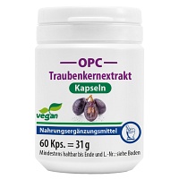 OPC TRAUBENKERNEXTRAKT+Vitamin C Kapseln - 60Stk