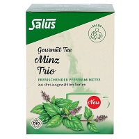 MINZ TRIO Gourmet Tee Bio Salus Filterbeutel - 15Stk