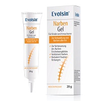 EVOLSIN Narben Gel - 20g - Hautpflege