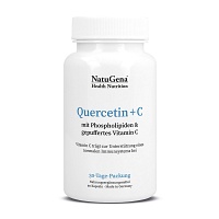 QUERCETIN+VITAMIN C hochdosiert+Magnesium Kapseln - 90Stk - Allergien