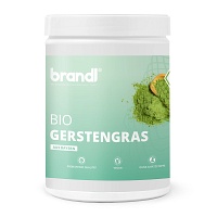 GERSTENGRAS PULVER - 500g