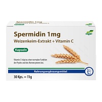 SPERMIDIN 1 mg Weizenkeim-Extrakt+C Kapseln - 30Stk - Gedächtnis & Konzentration