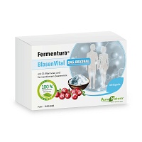 FERMENTURA BlasenVital Kapseln - 60Stk - Nahrungsergänzung