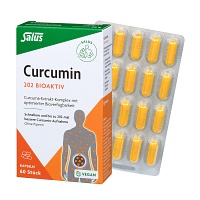 CURCUMIN 202 Bioaktiv Kapseln Salus - 60Stk