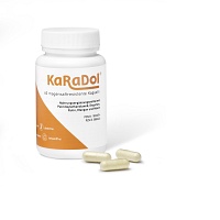 KARADOL magensaftresistente Kapseln - 60Stk