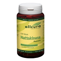 NATTOKINASE KAPSELN - 120Stk