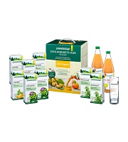 SCHLANKHEITSKUR Apfel-Ingwer Bio Schoenenberger - 1Packungen