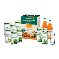 SCHLANKHEITSKUR Möhre-Mango Bio Schoenenberger - 1Packungen