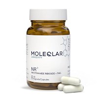 MOLEQLAR LONGEVITY NR+ Nicotinamid Kapseln - 30Stk