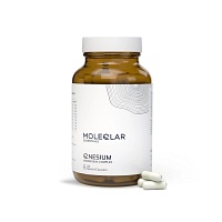 MOLEQLAR LONGEVITY QNESIUM Magnesium Complex Kaps. - 120Stk