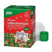 SALUS Lebkuchentraum Bio Filterbeutel