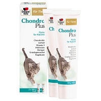 DOPPELHERZ für Tiere Chondro Plus Paste f.Katzen