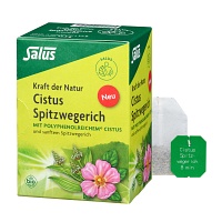 CISTUS SPITZWEGERICH Tee Bio Filterbeutel - 15Stk