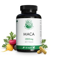 GREEN NATURALS Maca 2800mg hochdos.40:1 vegan Kps. - 180Stk