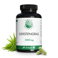 GREEN NATURALS Gerstengras 3000 mg vegan Kapseln - 240Stk