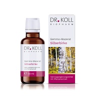 GEMMO-MAZERAT Silberbirke Dr.Koll Betula alba Tro.