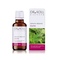 GEMMO-MAZERAT Esche Dr.Koll Fraxinus excelsior Tro