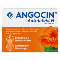 ANGOCIN Anti-Infekt N Filmtabletten - 240Stk