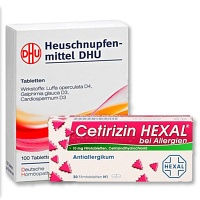 Cetirizin Hexal B Allerg + Heuschnupfenmittel DHU - 20+100Stk