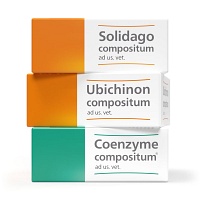 SOLIDAGO-,UBICHINON-,COENZYME COMPOSITUM AD US.VET - 3X10Stk