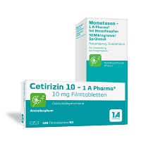 CETIRIZIN + MOMETASON 1A PHARMA B. HEUSCHNUPFEN - SETStk