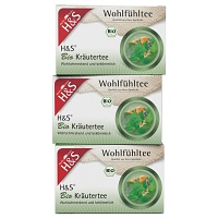 H&S BIO KRAEUTERTEE - 3ER - 60X1.5g