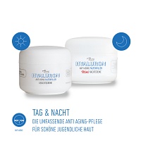 PROYOUNG HYALURON FALTENFILLER +RETINOL NACHTCREME - 2X50ml