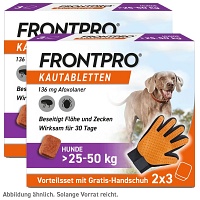 FRONTPRO CHEW HUNDE L VET - Doppelpack - 2X3Stk - Tiergesundheit