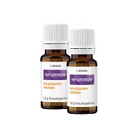 INFLUDORON STREUKUEGELCHEN DOPPELPACK - 2X10g